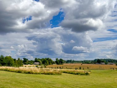 Yaz yeşili çimenleriyle sulu çayırlar ve Letonya kırsalında kabarık bulutlarla gökyüzüne karşı biraz çalılık..