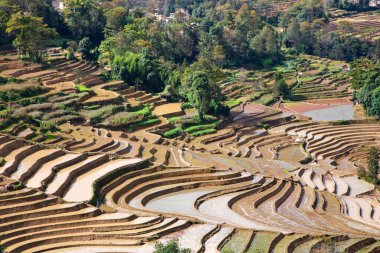 Çin 'in Yunnan ilindeki dağlarda pirinç hasadı yaptıktan sonra pirinç terasları suyla doldu. Pirinç tarlasının havadan görünüşü, tarım tarlaları.