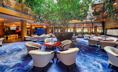 Polonya, Mikolajki, 28 Ağustos 2024: Polonya 'nın Mikolajki kentindeki salonun ortasında yumuşak mobilyaları ve canlı bir ağacı olan modern konforlu iç mekan