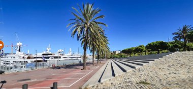 İspanya, BARCELONA, SEPTEMBER, 25, 2024: Barcelona, İspanya 'da lüks yatlara demirlemiş Port Vell yakınlarında yüksek palmiye ağaçları ile güzel gezinti.
