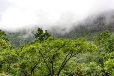 Güney Afrika, Mpumalanga 'daki Blyde Nehri Kanyonu' nun üzerindeki dağlarda yoğun sis var.