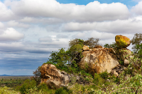 Красивый пейзаж саванны с скалистыми скалами в Национальном парке Крюгер, провинция Мпумаланга, юг 