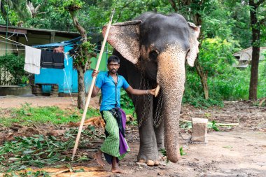 Sri Lanka, Sigirya, 18 Ocak 2025: Sarong giyen ve ucunda metal kanca olan uzun bir sopa tutan bir fil sürücüsü.