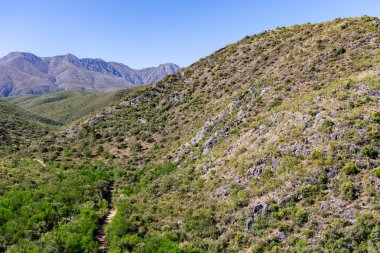 Swartberg Dağları, Güney Afrika 'nın batı Cape Eyaleti Oudtshoorn' un 30 kilometre kuzeyindeki ünlü Cango Mağaraları 'na ev sahipliği yapar..