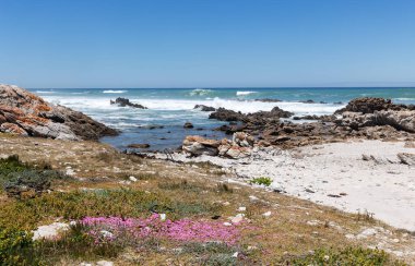 Agulhas Burnu 'nun kayalık kıyısı, Hint ve Atlantik Okyanuslarının birleştiği yer, Güney Afrika' da, Afrika 'nın en güneydeki noktasıdır..