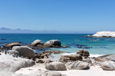 Büyük Afrika Penguenleri kolonisi (Spheniscus demersus) Boulders Sahili 'nde dev granit kayalar, Ümit Burnu, Güney Afrika