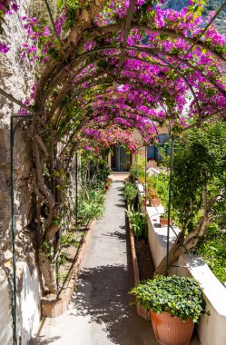 İtalya 'nın Capri adasındaki pembe begonvillerle kaplı dar bir tünelden eve giden yol.