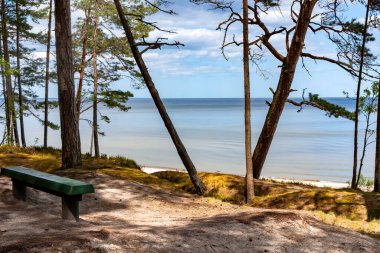 Letonya 'daki Baltık Denizi' ne bakan bir çam ormanındaki ahşap bank. Sakin ve huzurlu bir tatil kavramı