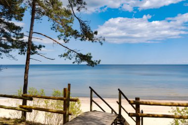 Çam ormanından geçerek Letonya 'daki Baltık Denizi kıyısına uzanan ahşap bir ekolojik patika..