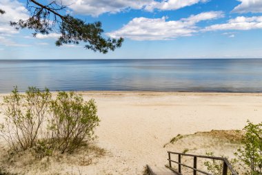 Çam ormanından geçerek Letonya 'daki Baltık Denizi kıyısına uzanan ahşap bir ekolojik patika..