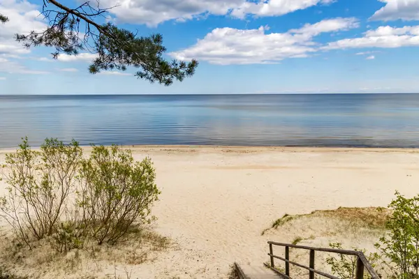 Çam ormanından geçerek Letonya 'daki Baltık Denizi kıyısına uzanan ahşap bir ekolojik patika..