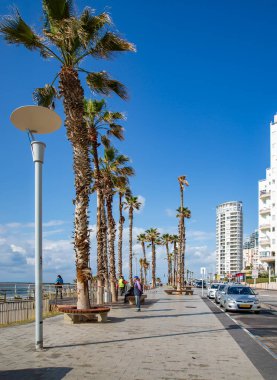 ISRAEL, BAT YAM, MARCH, 12, 2018: İsrail 'in Tel Aviv banliyösü olan Bat Yam' de Akdeniz kıyısında yüksek palmiye ağaçları ve çok katlı binaların bulunduğu bir gezinti alanı.