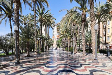 İspanya, Cezayir, Mayıs, 17, 2025: 