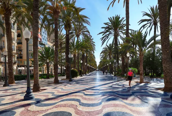 İspanya, Cezayir, Mayıs, 17, 2025: 