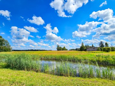 Varska Eyaleti, Estonya 'da küçük bir göl ve kümülüs bulutlu çayır manzarası. 