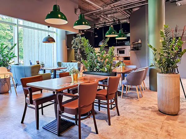 LATVIA, RIGA, AUGust, 31, 2025: Riga, Letonya 'da rahat mobilyalar, yeşil bitkiler ve büyük yeşil lambalar bulunan rahat kafe içi