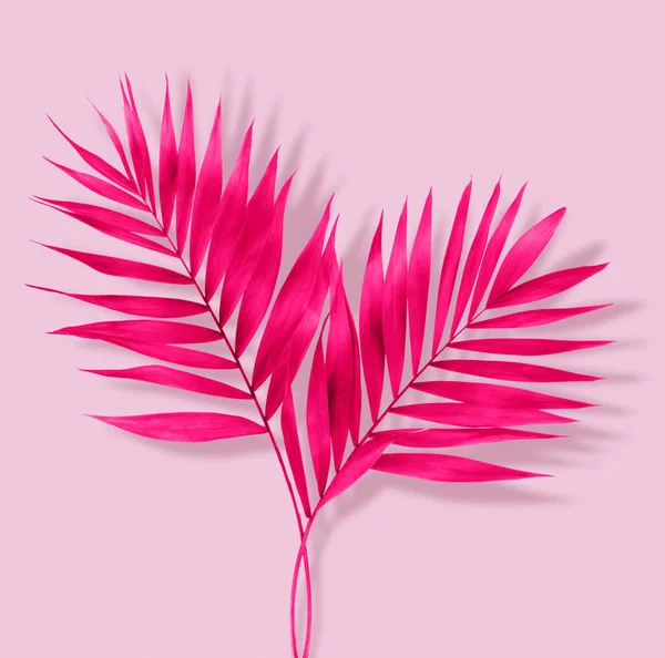 Розовые Растения Летний Шаблон Концепции Текста Дизайна Бумажном Фоне — стоковое фото