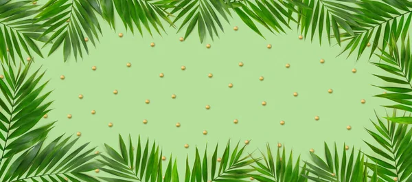 绿色植物夏季概念模板为您的文字或设计的纸张背景 免版税图库照片