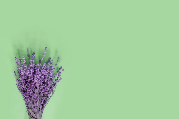绿纸背景上的干紫色香味薰衣草芬芳 平面布局 顶视图 复制空间概念 图库图片