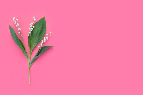 Цветочное Расположение Белых Веточек Лилии Долины Пастельно Розовом Фоне Весенняя — стоковое фото