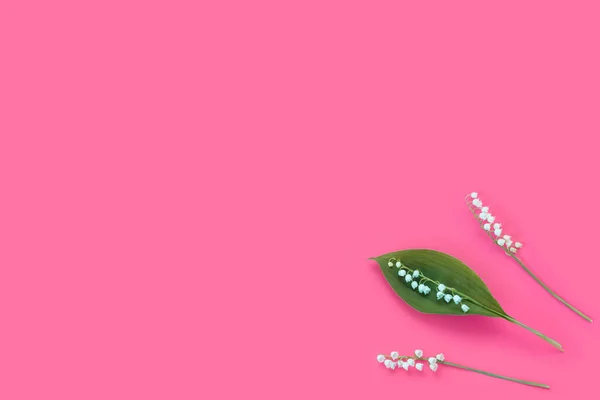 Arreglo Floral Ramitas Blancas Lirio Del Valle Sobre Fondo Rosa — Foto de Stock