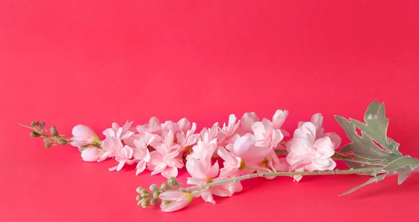 Bukett Delikata Konstgjorda Blommor Rosa Bakgrund Dekorativa Blommor Det Inre Royaltyfria Stockfoton