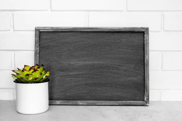 Evergreen Succulents Small Flower Pots White Brick Wall Wooden Frame Stock Image