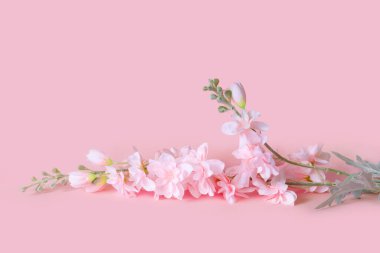 Pembe arka planda bir buket hassas yapay çiçek. Evin içinde dekoratif bir çiçek var..