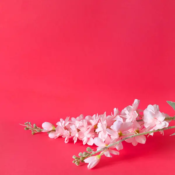 粉红色背景上的一束精致的人造花 房子内部装饰用的花 免版税图库图片
