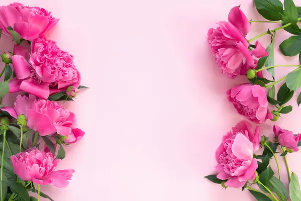 Bukett Med Vackra Rosa Pioner Ömtåliga Papper Bakgrund Minimal Begreppsbakgrund Stockbild