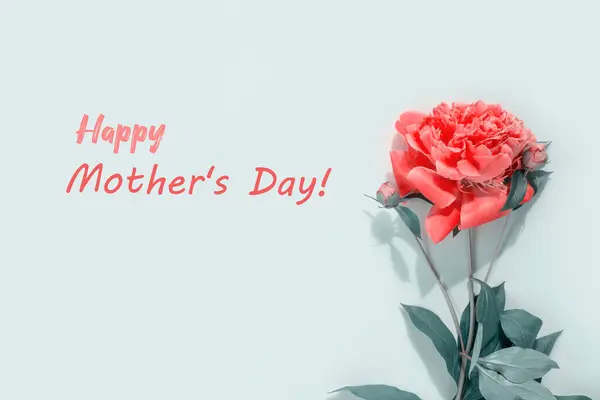 紙の包装にギフトボックスと美しいピンクの牡丹の花束 丸い花のフレーム テキストと背景 Happy Mother Day ロイヤリティフリーのストック画像