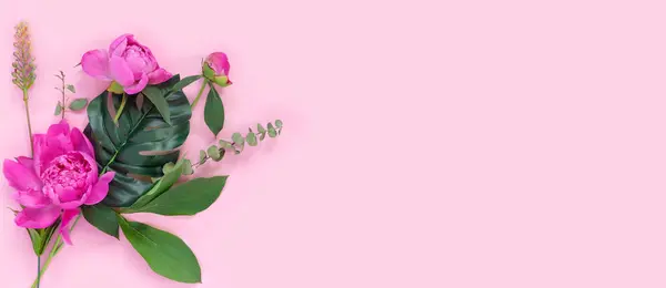 粉色纸背景上的一束美丽的牡丹 创意春天的概念 节日贺卡 图库照片