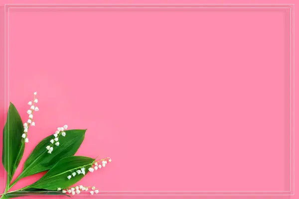 在粉红的粉红的背景上 百合花的白色枝条的花朵排列 春天自然的概念 创意布局 图库图片