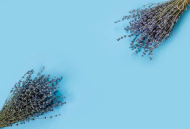 Bir demet kuru Fransız mor kokulu lavanta. Tebrik kartı için harika.