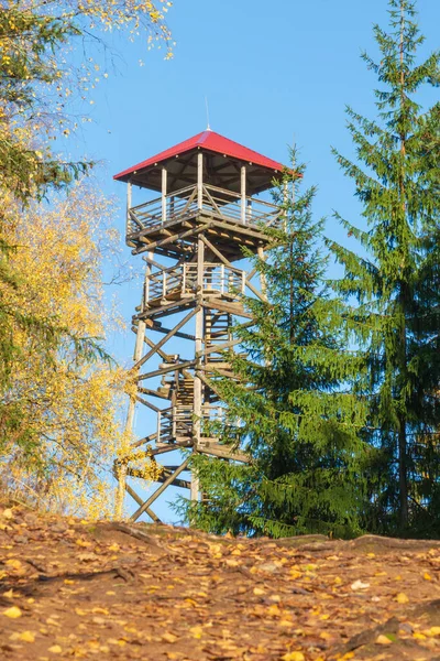 Torre Avvistamento Con Piattaforma Panoramica — Foto Stock