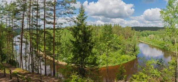 Widok Rzekę Gauję Park Narodowy Gauja Łotwa — Zdjęcie stockowe