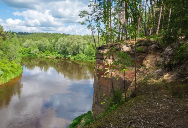 Вид Річку Гауя Національний Парк Гауя Латвія — стокове фото
