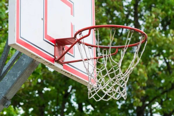 Basketball hoop on green background