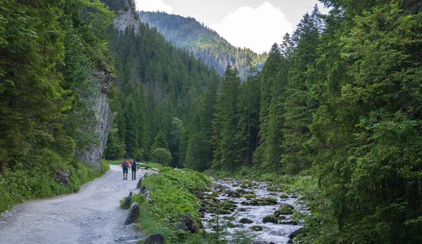 Πεζοπόροι Πεζοπορική Διαδρομή Στα Βουνά Tatra Zakopane — Φωτογραφία Αρχείου