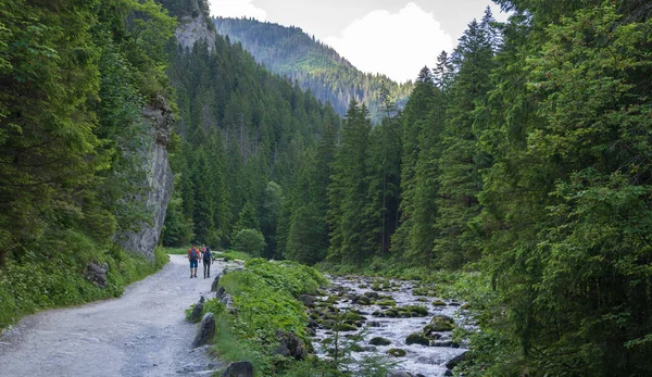 Mountain Hikers Hiking Trail Tatra Mountains Zakopane — Stock Photo, Image