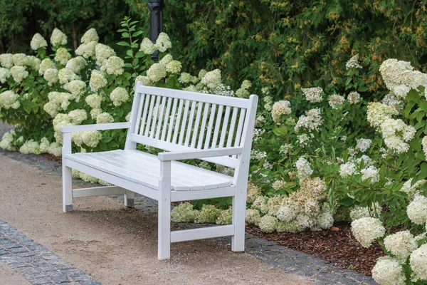 Single White Bench Parku — Zdjęcie stockowe