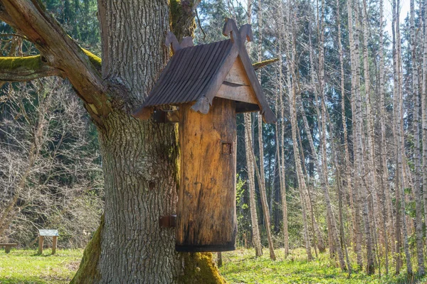 Eski Bir Ağaç Gövdesinden Yapılmış Arı Kovanı — Stok fotoğraf