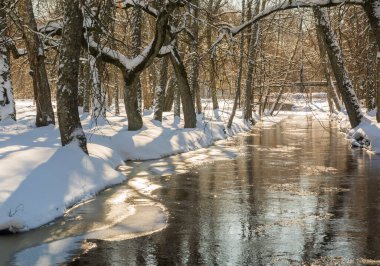 Parkta kış gündoğumunda renkli manzara .