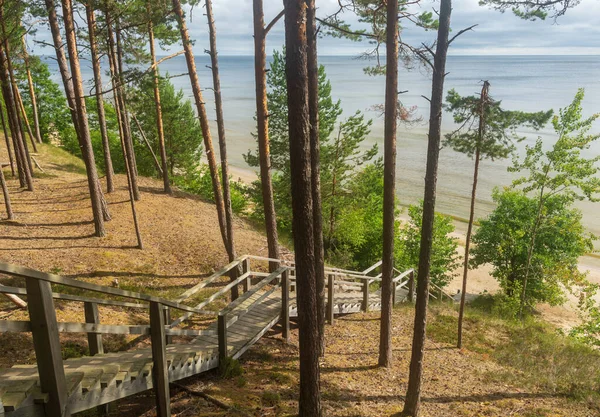 Escadas Madeira Costa Mar Báltico Letónia — Fotografia de Stock