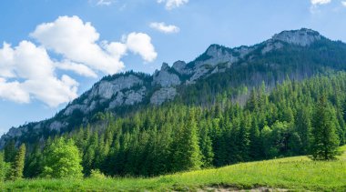 Tatra Ulusal Parkı, Zakopane 'de yaz manzarası.