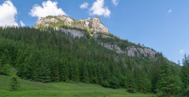 Tatra Ulusal Parkı, Zakopane 'de yaz manzarası.
