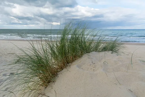Sanddyn Med Strandgräs Ammophila Arenaria Och Utsikt Över Östersjön — Stockfoto