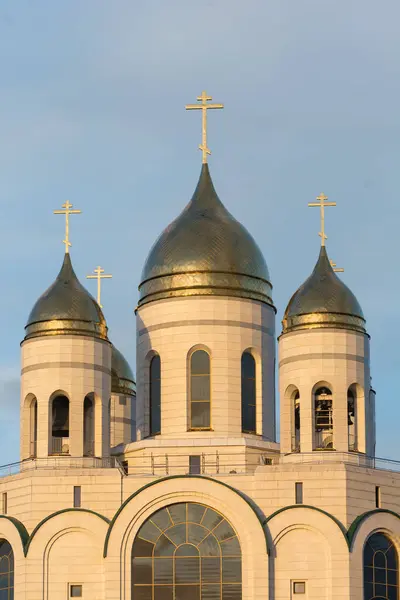 Cathedral Christ Saviour Kaliningrad City Russia - Stock-foto