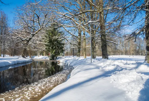 맑은 겨울 날에 작은 강. 스톡 사진