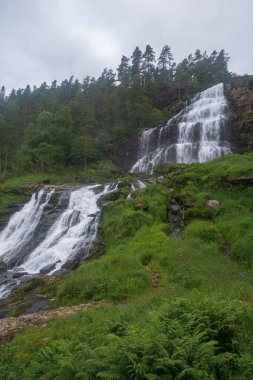Şelale Svandalsfossen Norveç, Avrupa 'daki Ryfylke manzaralı rotasında